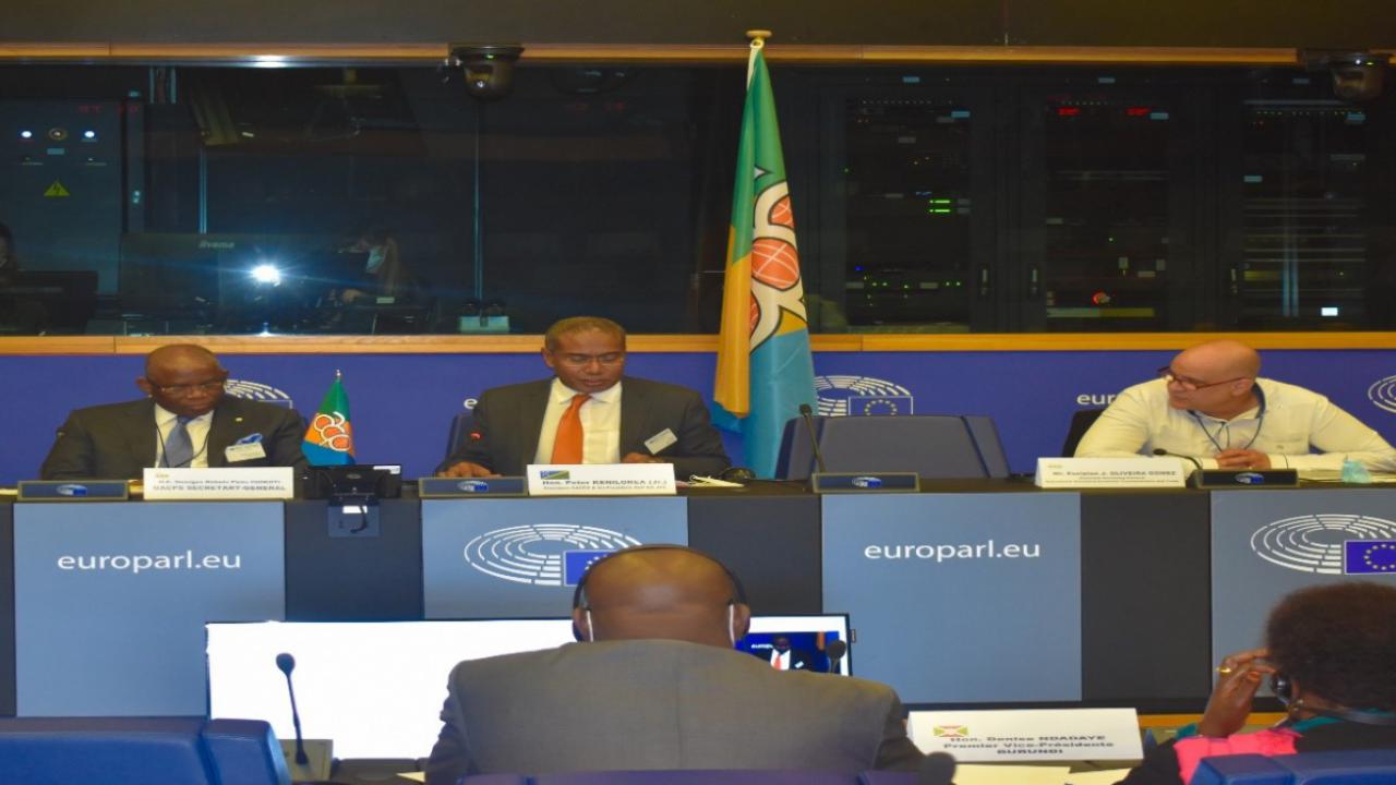 President of the OACPS Parliamentary Assembly, Hon. Peter Kenilorea Jr., at the European Parliament Headquarters in Strasbourg, France.